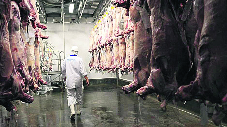 Varios frigoríficos podrían dejar de exportar carne vacuna a Israel