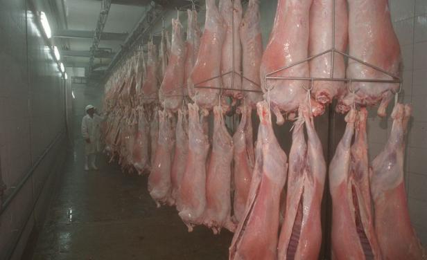 EE.UU. redacta la norma para habilitar carne ovina